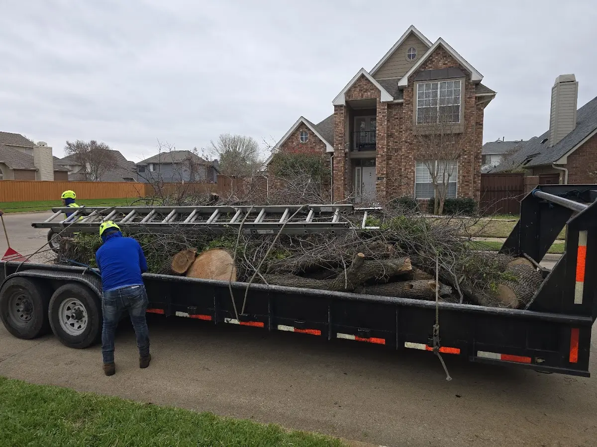 Expert Lot Clearing with proper safety equipment in Rosholt